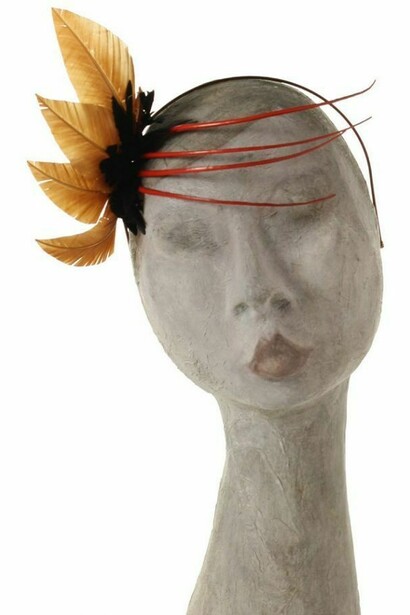 Un copricapo in piume di struzzo