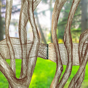 Parco della Casa di Cura Villa Verde