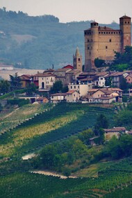Paesaggio delle Langhe tra Monforte d'Alba e La Morra, Provincia di Cuneo, Piemonte, Italia