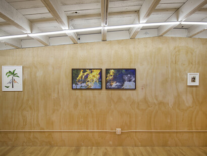 Johanna Breiding. Courtesy of Ochi Projects