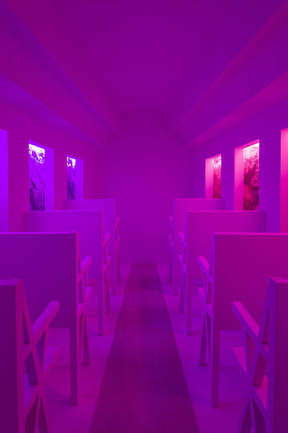 Brett Williams, Untitled (14), 12x8x8 (interior view II)