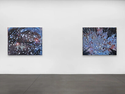 Heide Fasnacht, Nature once removed, exhibition view. Courtesy of Shoshana Wayne Gallery 