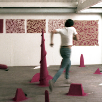 Anish Kapoor, Early works, exhibition view. Courtesy of the Jewish Museum