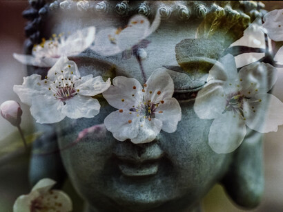 Buddismo. La cultura orientale è basata sul concetto che non sarà ciò che abbiamo o ciò che agogniamo a condurci alla felicità
