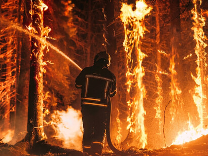 A firefighter battling an intense forest fire as flames spread through the surrounding vegetation