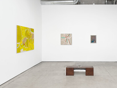 Molly Rose Lieberman, My paradise, exhibition view. Courtesy of Matthew Brown Gallery