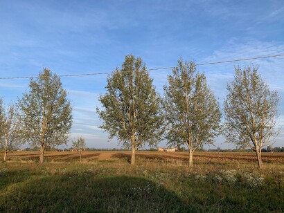 Sentieri, campagna emiliana, foto Claudia Zanfi