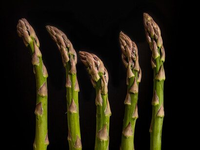 Fasting has been used as one of the efficient healing traditions for centuries