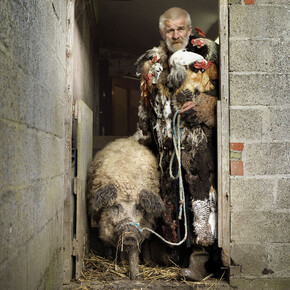 Lucy, 2018, lightbox, 400 x 600 cm, © Koen Vanmechelen.

