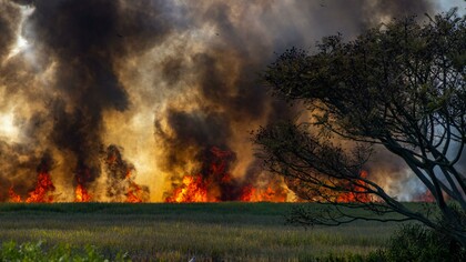 Terra dei fuochi. La “Campania Felix”, da tempo ormai è al centro delle cronache per gli interramenti di rifiuti che hanno contaminato quelle stesse terre che erano indiscutibilmente terre di purezza