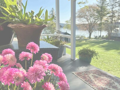 A lovely sight of nature blossoming in Acadia National Park. Photo by Jamie Edwards