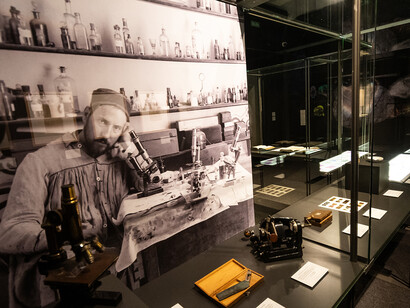 Brain(s), exhibition view. Courtesy of Casa de la Ciencia