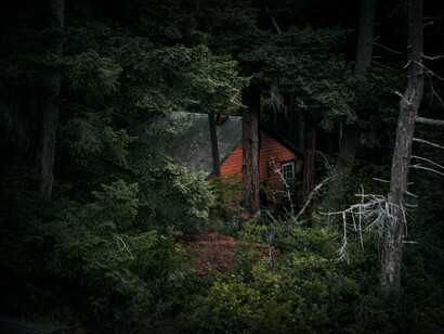 Cabaña entre arboles de un bosque escondido
