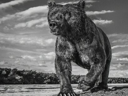 Pride Rock. Courtesy of Maddox Gallery