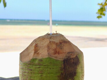 Um coco verde com canudo repousa sobre uma mesa de madeira, diante da praia e do mar. Entre a sombra das árvores e os pequenos prazeres de uma viagem, a experiência de desacelerar também passa pelos sentidos e pelo contato direto com a natureza