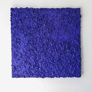 Gregory Coates, pimp, 2014, feather, pigment, wood, 48x48