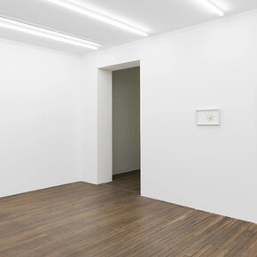 Melanie Smith, An age of liberty when the world had been possible, vue de l’exposition. Avec l’aimable autorisation de la Galerie Peter Kilchmann