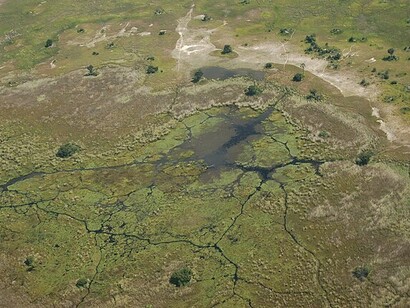 Okavango Delta, Botswana