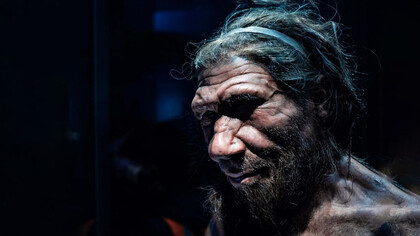 Homo Sapiens, da cui discendiamo tutti