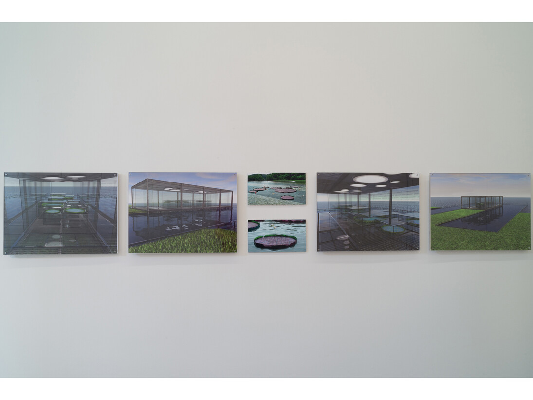 Ana Maria Tavares: Euryale Amazonica, Sicardi Gallery installation view, October 30 - December 20, 2014. Photography by Logan Sebastian Beck.