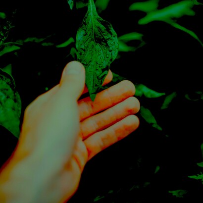 Sostenibilidad o barbarie