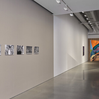 Ana Segovia, The office of inter-American affairs presents, vista de exhibición. Cortesía de kurimanzutto