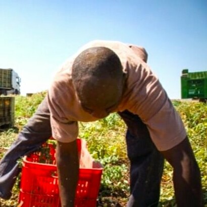 Los trabajadores «invisibles» de Italia