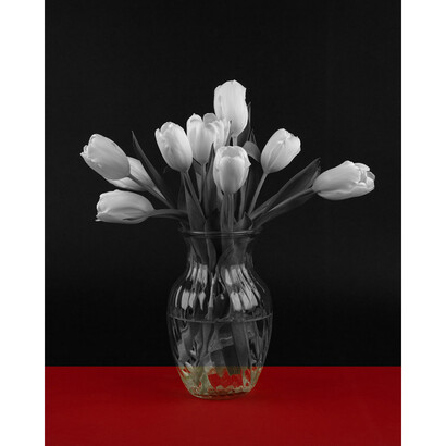 Pacifico Silano, Floral in Red, Black, and White, (From the series “Against Nature”), 2014, Signed, verso, Archival pigment print (Edition of 5), 20 x 16 inches, Courtesy of ClampArt, New York City.