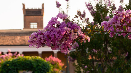 Interno Verde Ferrara, Tennis Club Marfisa