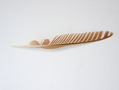 Olivier Leroi, Exhibition view. Courtesy of Galerie Patricia Dorfmann