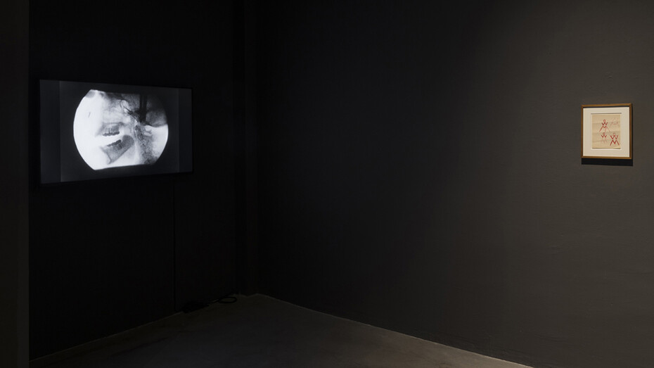 Ana Mendieta. Courtesy of Nogueras Blanchard