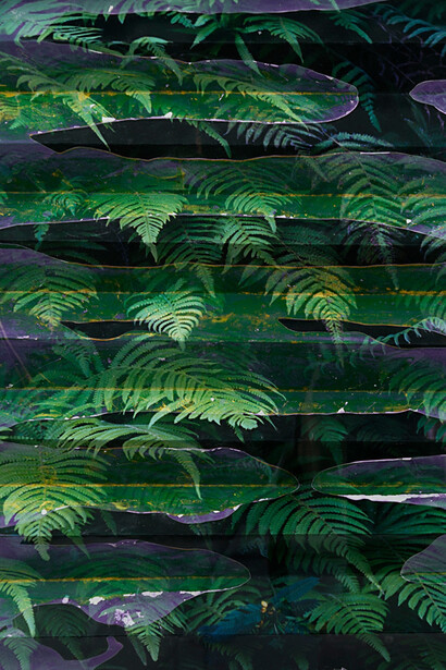 Letha Wilson, Ferns Green Cement Fold (2014) Unique C-print, white portland cement cm. 43.18x35.56x2.54 (in. 17 x14 x1 )