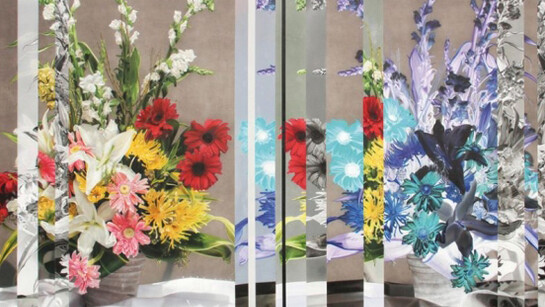 Olan Ventura, Unstilled Life 01,
2015,
Acrylic on Canvas,
152 x 244 cm