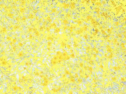 Signal Noise. Courtesy of Cleveland Museum of Art