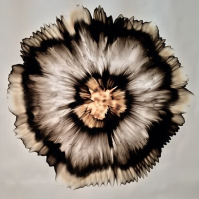 Burn Baby Burn. Courtesy of Heather Gaudio Fine Art