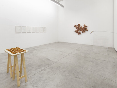 Taipa-Tapume, Exhibition view. Photo credit: Filipe Berndt, Gallery B