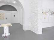 Elisa Montessori, 50 x 35, exhibition view. Courtesy of Monitor