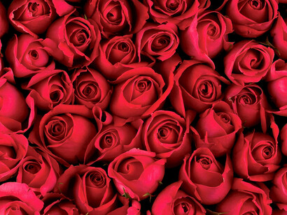 Según cuenta la leyenda en la villa de Montblanc había un dragón terrible que causaba estragos. Para contenerlo, escogían por sorteo a un habitante y lo daban al monstruo para que lo devorara