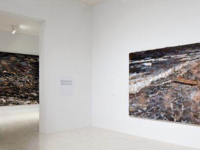 Regeneration Series, Exhibition view. Courtesy of NSU Art Museum