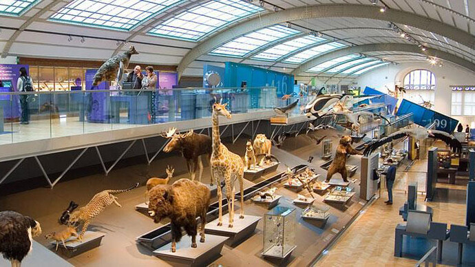 Gallery of Evolution. Courtesy of Royal Belgian Institute of Natural Sciences