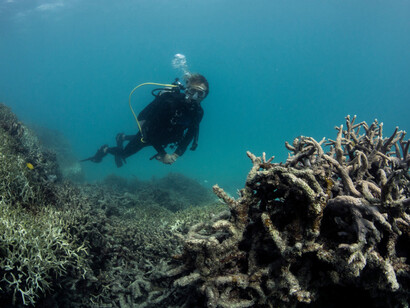 L'innalzamento della temperatura degli oceani