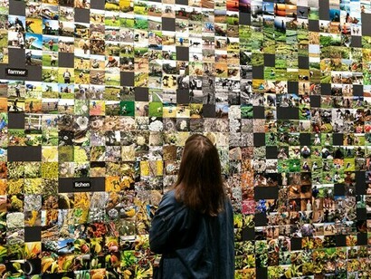 Trevor Paglen, photograph of the installation "From 'Apple' to 'Anomaly'"