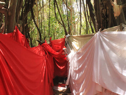 L'Arbre sacré a Nosy-Be, Madagascar