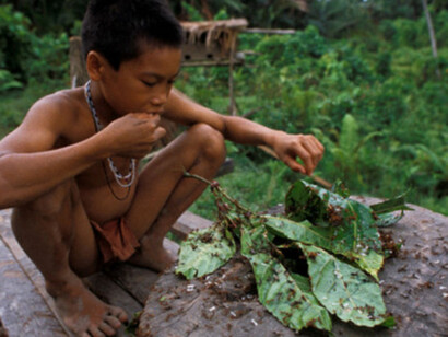 Bambino in Amazzonia e la dieta vegetale