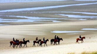 El medio ambiente influye en los seres humanos.  Le Touquet-Paris-Plage, más conocido como Le Touquet, municipio situado en el departamento del Paso de Calais, en la desembocadura del río Canche en el canal de la Mancha, Francia