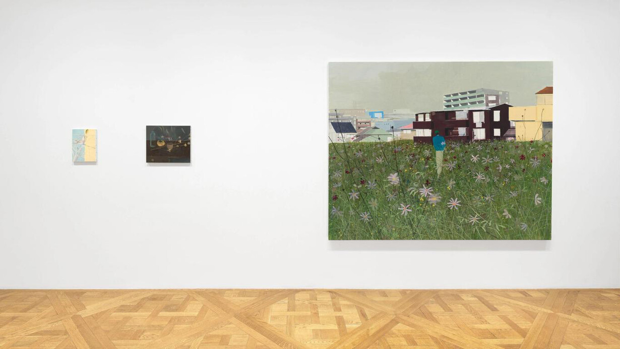 Yu Nishimura, Clearing unfolds, exhibition view. Courtesy of David Zwirner Gallery