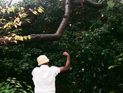 Ayo Akingbade, Hella Trees, HD video still, 2020 © the artist, Courtesy of Tintype