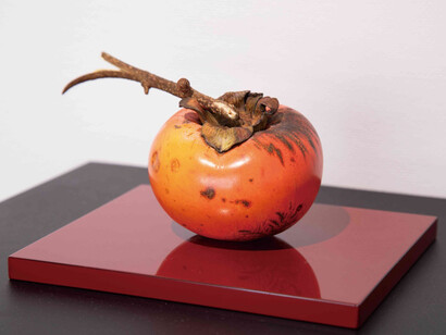 Tsutomu Iwasaki, artwork in exhibition. Courtesy of Tomio Koyama Gallery