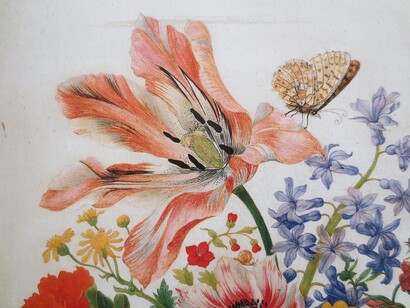 Maria Sibylla Merian. Fiori di Tolhoren