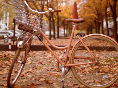 Autumn days